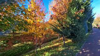 Live Albania walking in tirana [upl. by Llertnor]