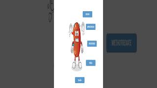 Drugs causing Nephrotoxicitypharmacoeasymedicalbiologyanimatedshorts [upl. by Trumann569]