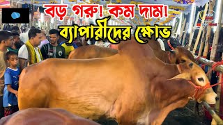 বড় গরু দাম কম বেপারীদের ক্ষোভ গাবতলী গরুর হাট ২০২৪ [upl. by Mable617]