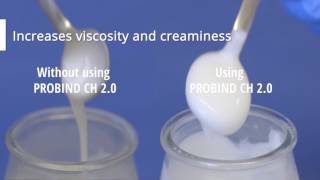 PROBIND® CH 20 Transglutaminase in Yogurt and Fermented Milk Products [upl. by Aleyam]