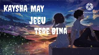 kaysha may jeeu tare bina   slowed  reverb  lofi song lofi lofimusic [upl. by Einafpets516]