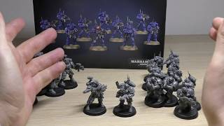 Primaris Incursors  Review WH40K [upl. by Vevay]