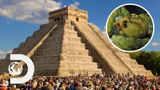 Chichen Itzas Mysterious History Of Sun Worship And Human Sacrifice  Legendary Locations [upl. by Nyrek]