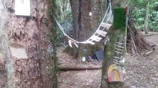 Mal and Frances Midgley came across this Fairy Grotto in the Redwoods Rotorua New Zealand [upl. by Phina]