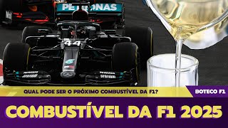 Como pode ser o COMBUSTÍVEL da FÓRMULA 1 em 2025 🏎⛽🤔 [upl. by Adoc]