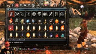 Dark Souls 2 DLC  Crown of the Ivory King NG2 Pt 3 [upl. by Ashly954]