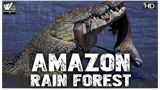 अमेज़न का जंगल का रहस्य आप को हैरान कर देगी  Amazon Rain Forest  World Documentary HD [upl. by Rehpotsirc]