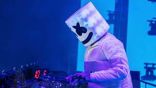 Marshmello At Lollapalooza 2021 Mr F Remake lollapalooza [upl. by Waite386]