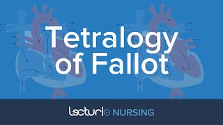 Tetralogy of Fallot TOF  Pediatric Nursing [upl. by Midis]