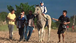 Corrida de Cavalos em ALEGRE DO PIAUÍ  João Costa PI  Torneio [upl. by Tiat344]