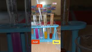 Neutralization Reaction  Phenolphthalein and Turmeric Indicators shorts anjusscience [upl. by Atnaloj257]