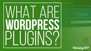 What Are WordPress Plugins  And How To Use Them [upl. by Pasia]