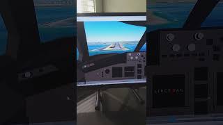 GeoFS Boeing 7478 Cockpit view Landing [upl. by Henryson441]