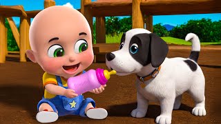 Baby Bingo Song New Compilation  Baa Baa Black Sheep  Nursery Rhymes and Kids Songs  Baby Bobo [upl. by Yusem785]