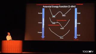 Diagnosing unoccurred diseases by dynamic network biomarkers  NIG International symposium 2017 [upl. by Laehplar]