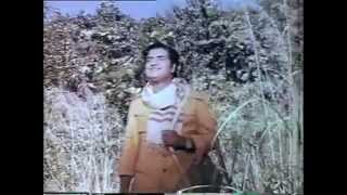 swargam thanirangi vannatho video Vanadevatha  1976 k j yesudas  prem nazeer [upl. by Gale]