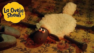 La Oveja Shaun 🐑 Alfombra de oveja pero viva 🐑 Dibujos animados para niños [upl. by Reid]