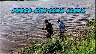 Pesca en Río Paranacito Camping el gran lago [upl. by Ellivro]