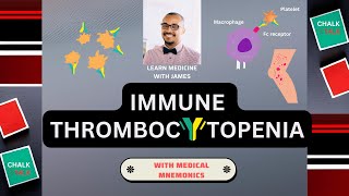 Immune Thrombocytopenic Purpura ITP [upl. by Duwe]