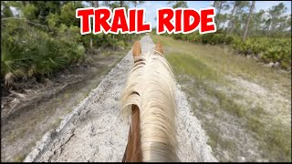 My First HORSE TRAIL RIDE after Being Pregnant [upl. by Wilkie]