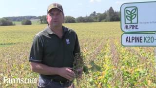 ALPINE Agronomy Tips HKW6 amp K20S Liquid Fertilizers Can Increase Soybean Yields [upl. by Elacsap]