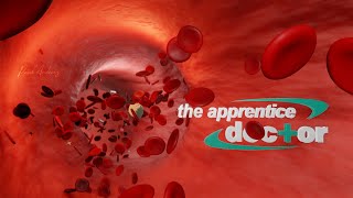 Blender 283 Medical Animation  Aortic Compliance  Windkessel Effect [upl. by Nylsej621]