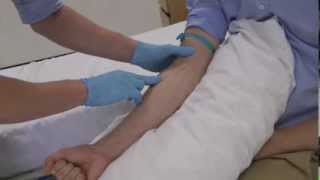 How to select the best vein for clinical skills cannulation and venepuncture [upl. by Thor143]