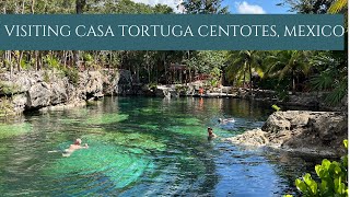 Visiting Casa Tortuga Cenotes Mexico [upl. by Carrnan]