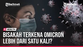 BISAKAH TERKENA OMICRON LEBIH DARI SATU KALI Ini Pendapat Ahli [upl. by Anolahs]