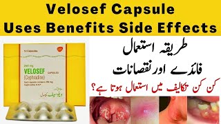 Velosef Capsule 250 mg  Velosef Capsule Used For In Urdu [upl. by Artap]