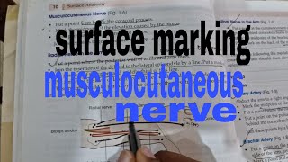 surface marking of musculocutaneous nerve anatomy [upl. by Ahsemat]