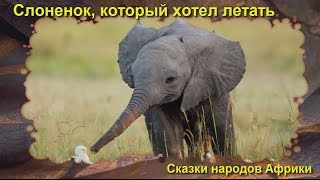 Слоненок который хотел летать аудиосказка для детей [upl. by Adamik335]