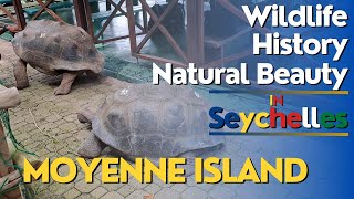 Explore Moyenne Island Seychelles Wildlife History and Natural Beauty [upl. by Ecirtahs]