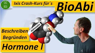 Hormone 1  Vergleich Peptidhormone und Steroidhormone  Übersicht über Funktionsweise von Hormonen [upl. by Trumann]