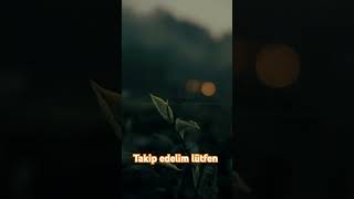 Müminun süresi 118 119 Ayetler allah duet cuma duo amin öneçıkar love quotes sevgi 432hz [upl. by Rainah]