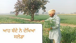 Saleda ਆਹ ਬੰਦੇ ਨੇ ਦੇਖਿਆ ਸਲੇਡਾ GPSPendu punjab viral culture [upl. by Yrakaz421]