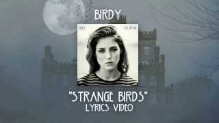 Birdy  Strange Birds Lyrics Video [upl. by Felic]