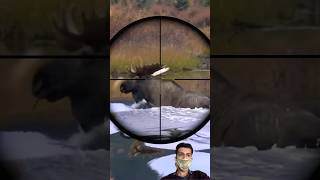 Moose Bull Hunting moose moosehunting hunting [upl. by Anaet]