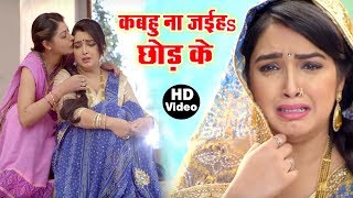 Aamrapali Dubey का सबसे दर्द भरा गीत  Dinesh Lal Yadav Nirahua Bhojpuri Sad Song [upl. by Arnelle783]