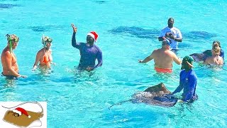 New Year with Stingrays show Caribbean Antigua 4K Silvester mit Rochen Новогодние скаты [upl. by Leiruh716]