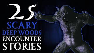 25 SCARY PARK RANGER STORIES  HORROR STORIES OF SEARCH AND RESCUE [upl. by Rramahs]