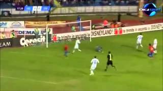 Steaua Bucharest Goals 20122013 Liga 1 [upl. by Morissa]