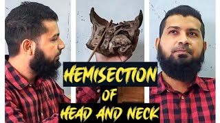 Hemisection of Head amp Neck  Demo  Anatomy  Part 1 [upl. by Elkcim]