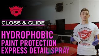 The BEST Detail Spray for Your Vehicle  Detail Kings Gloss amp Glide Express Detail Spray [upl. by Kalikow806]