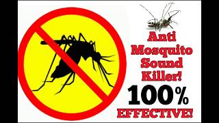 FREE anti Mosquito sound 100 EFFECTIVE [upl. by Nwahsirhc]