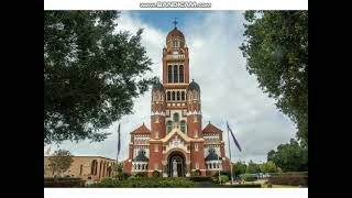 Cathedral of St John the Evangelist Strikes 12 oclock in Scratch [upl. by Olegnad]