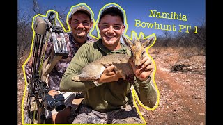 Namibia Bowhunting Adventure Part 1  Double up on Dik Diks [upl. by Teri]