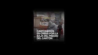 Cartoneros en crisis por la baja del precio del cartón [upl. by Citarella791]