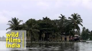 Punnamada backwater resort Kerala [upl. by Marquita]