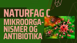 Mikroorganismer virus bakterier og antibiotika [upl. by Araminta191]